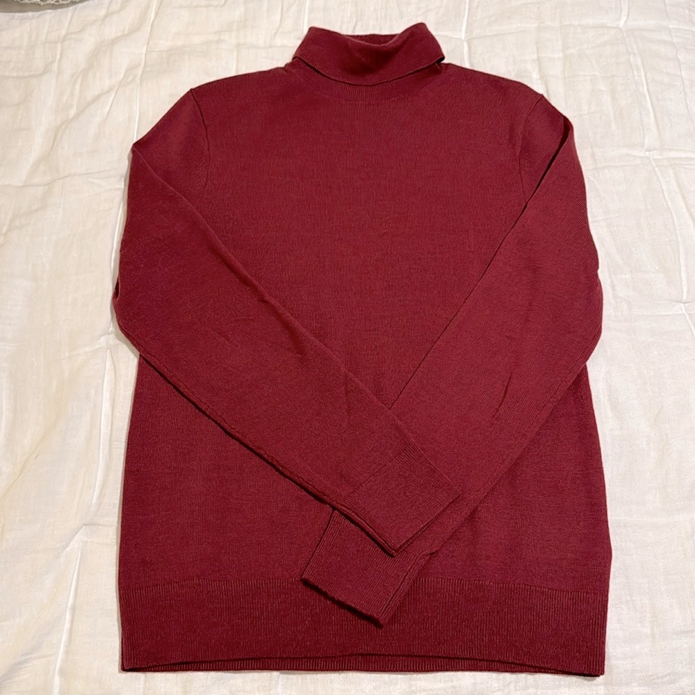 Banana Republic Merino Wool Turtleneck Sweater